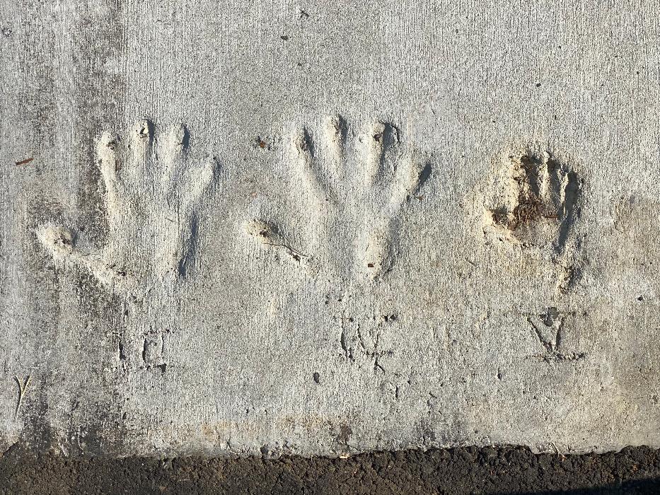 Sullivan Dental Partners in Brentwood TN