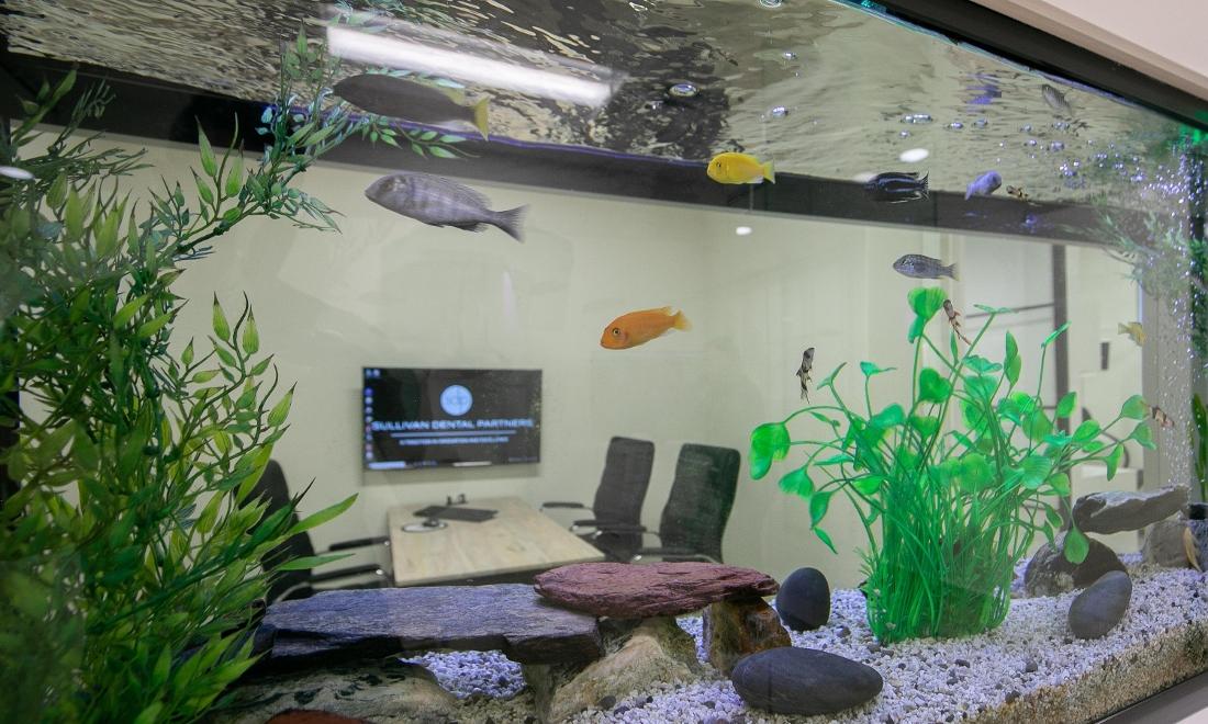 brentwood tn dentist